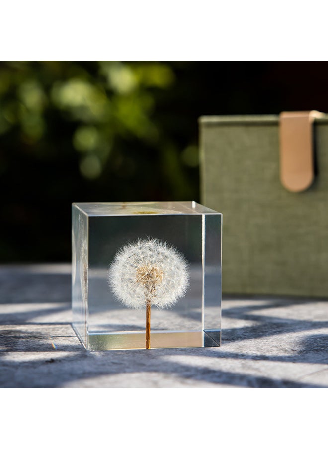 Dandelion Crystal Ball Music Box Resin Eternal Flower Wooden Red Rose Lover Send Female Birthday Gift M2-Color:Maple Leaf-Dimensions:6cm Square Gift Box