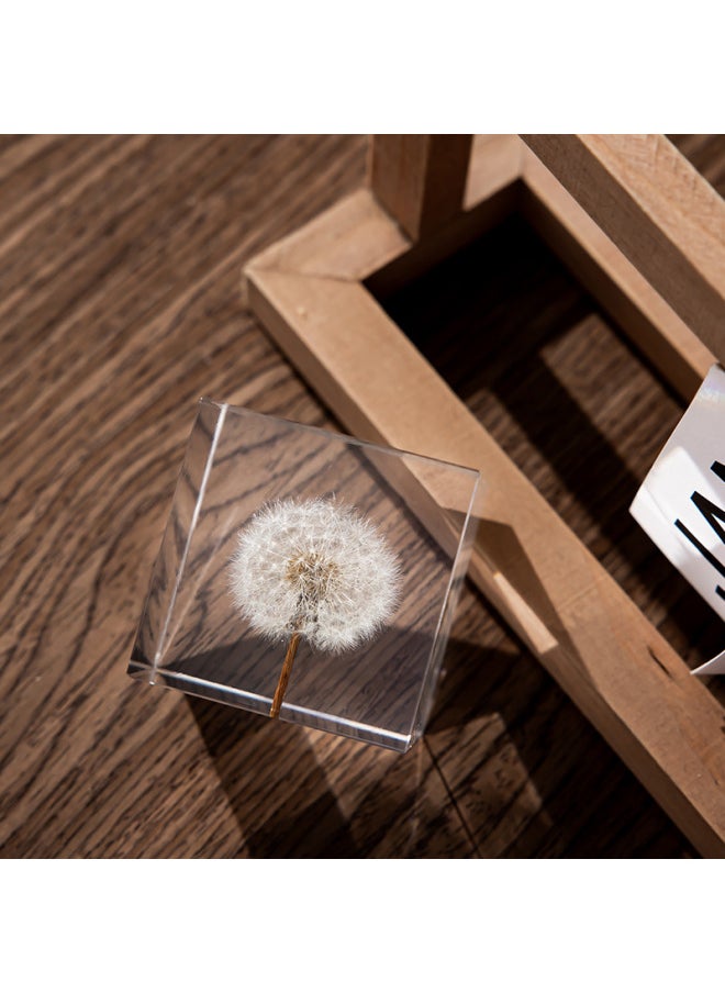 Dandelion Crystal Ball Music Box Resin Eternal Flower Wooden Red Rose Lover Send Female Birthday Gift M2-Color:Maple Leaf-Dimensions:6cm Square Gift Box