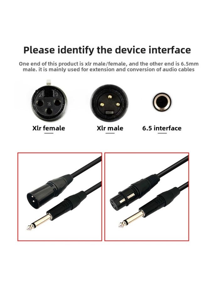 6.5 To Canon Female Audio Cable 6.35 Big Three-core To XLR Balanced Microphone Microphone Microphone Line Mixer Audio Cable-Color:6.35 To Kannon Mother-Length:2 M