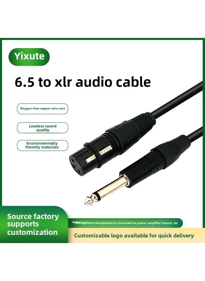 6.5 To Canon Female Audio Cable 6.35 Big Three-core To XLR Balanced Microphone Microphone Microphone Line Mixer Audio Cable-Color:6.35 To Kannon Mother-Length:2 M