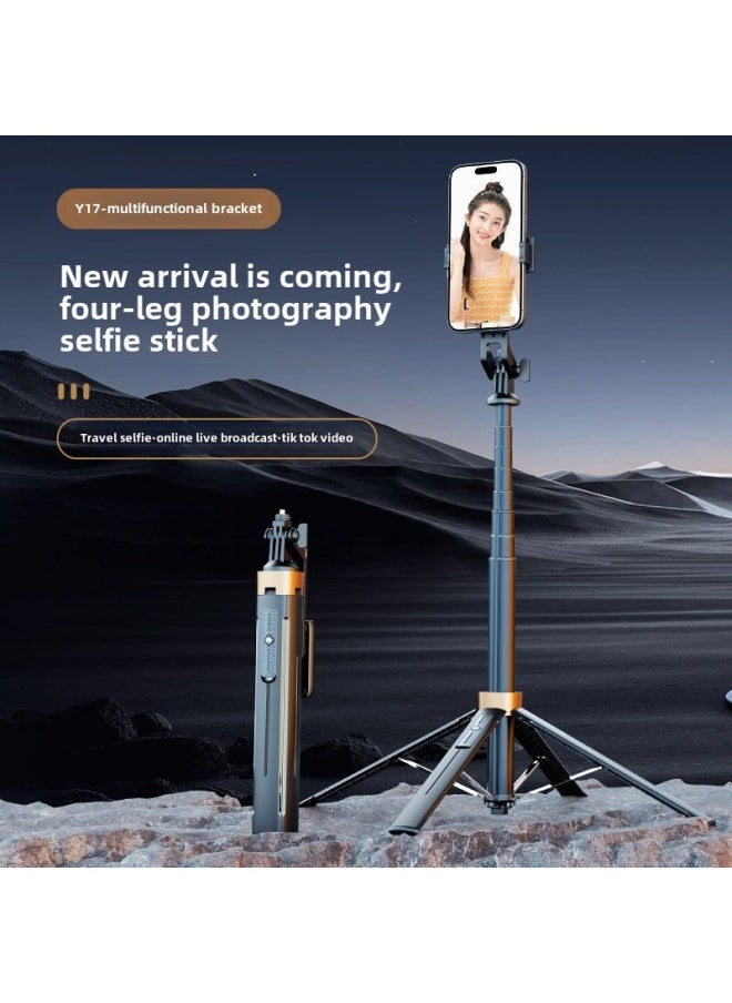 Y Sequence Mobile Phone Selfie Stick Bluetooth Selfie Mobile Phone Live Four-legged Stand Selfie Stick Manufacturers Wholesale-Color:Y 19-10inch Headlight - Black (aluminum Alloy)