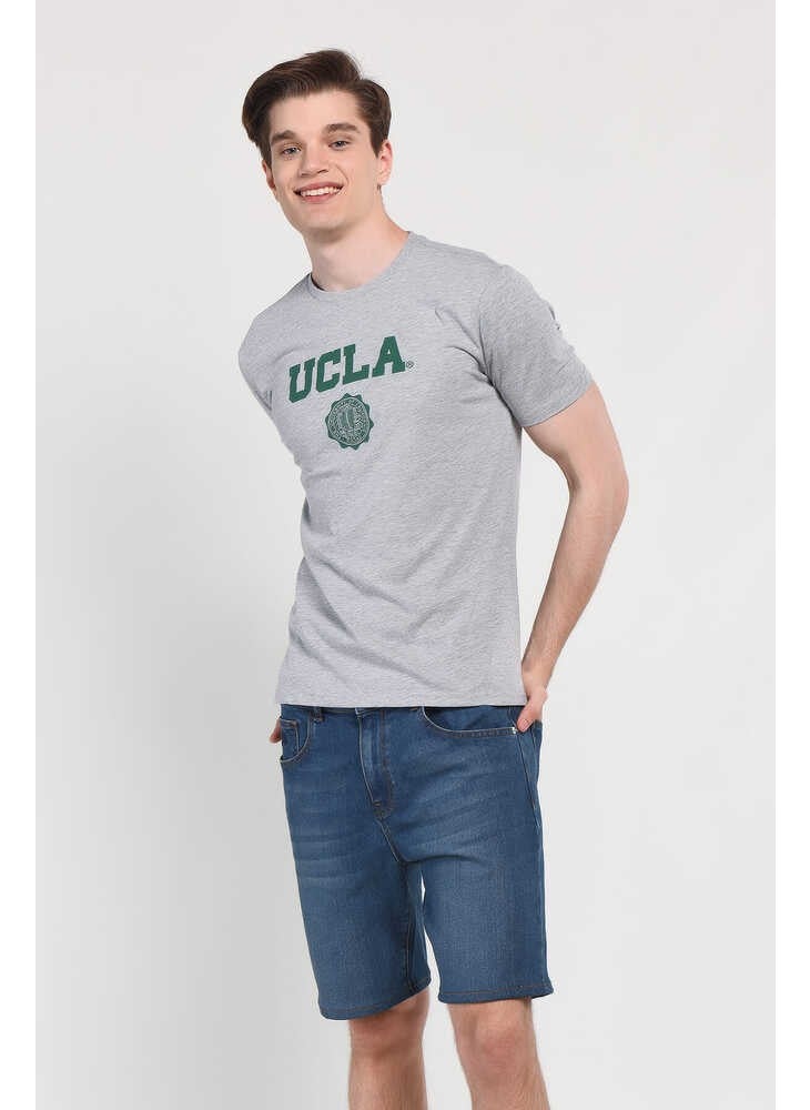 GAYLEY Gray Crew Neck Men's T-shirt
