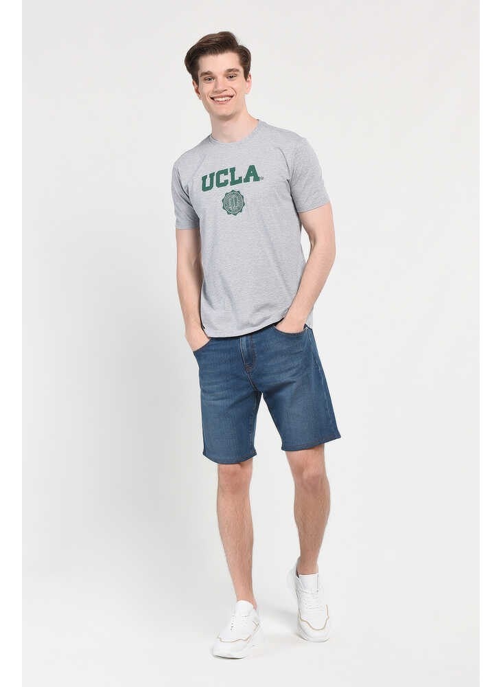 GAYLEY Gray Crew Neck Men's T-shirt