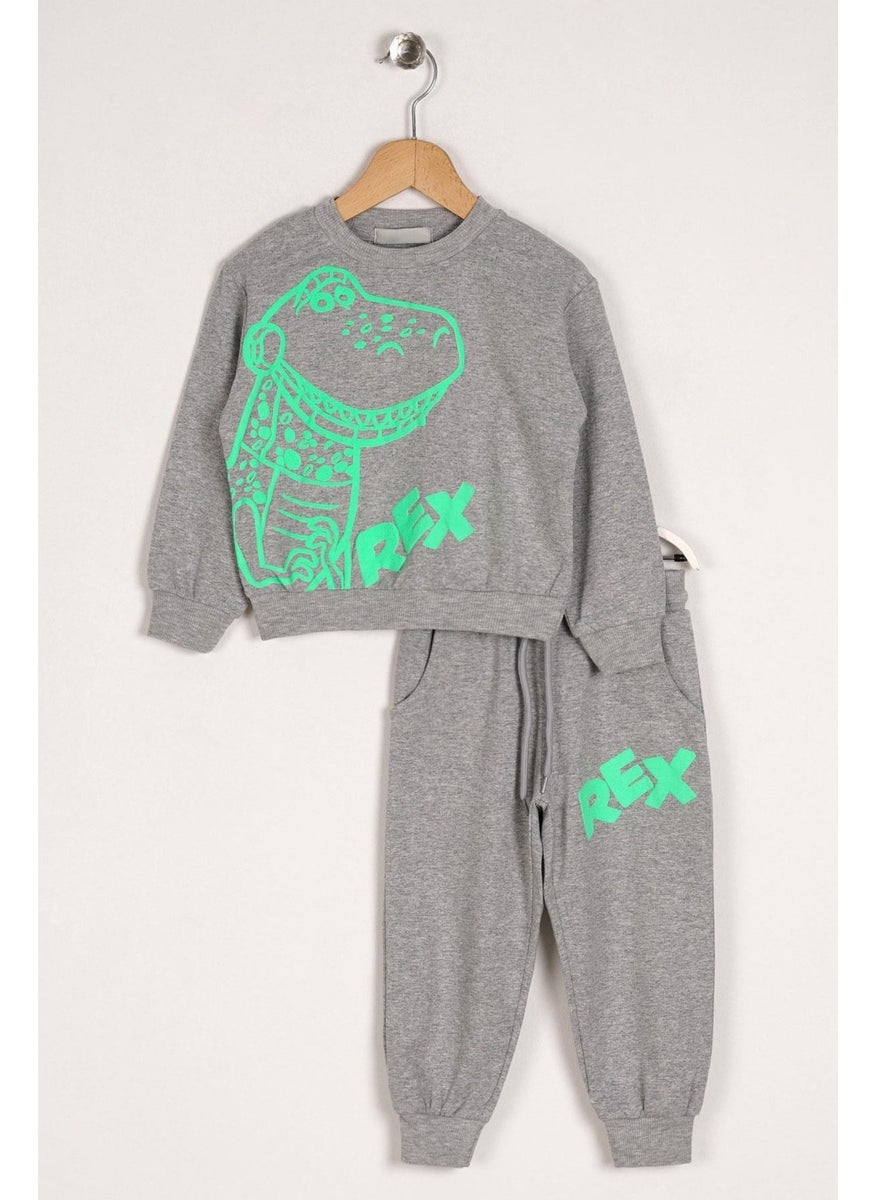 Crew Neck Long Sleeve Crocodile Rex Printed Gray Color Boy's Two Piece Suit