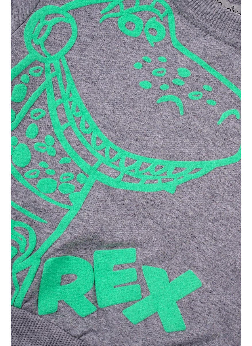 Crew Neck Long Sleeve Crocodile Rex Printed Gray Color Boy's Two Piece Suit