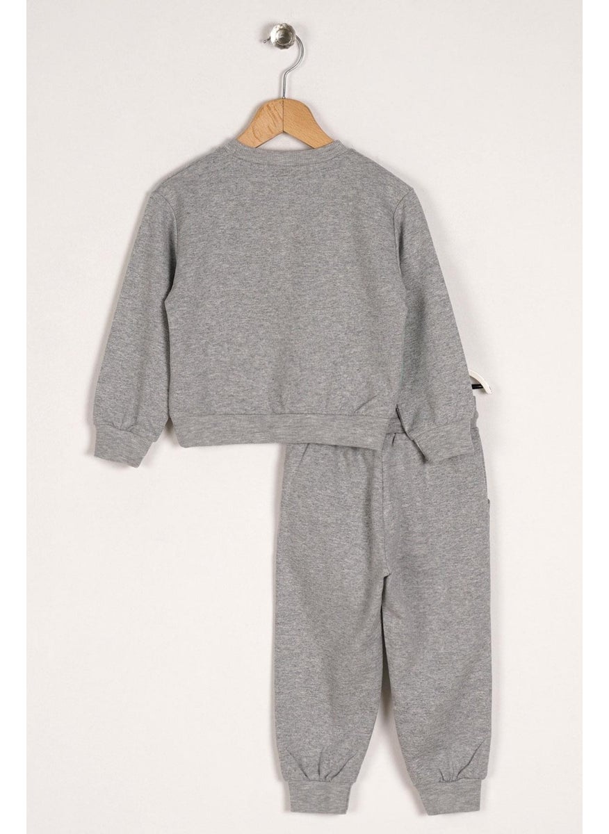 Crew Neck Long Sleeve Crocodile Rex Printed Gray Color Boy's Two Piece Suit