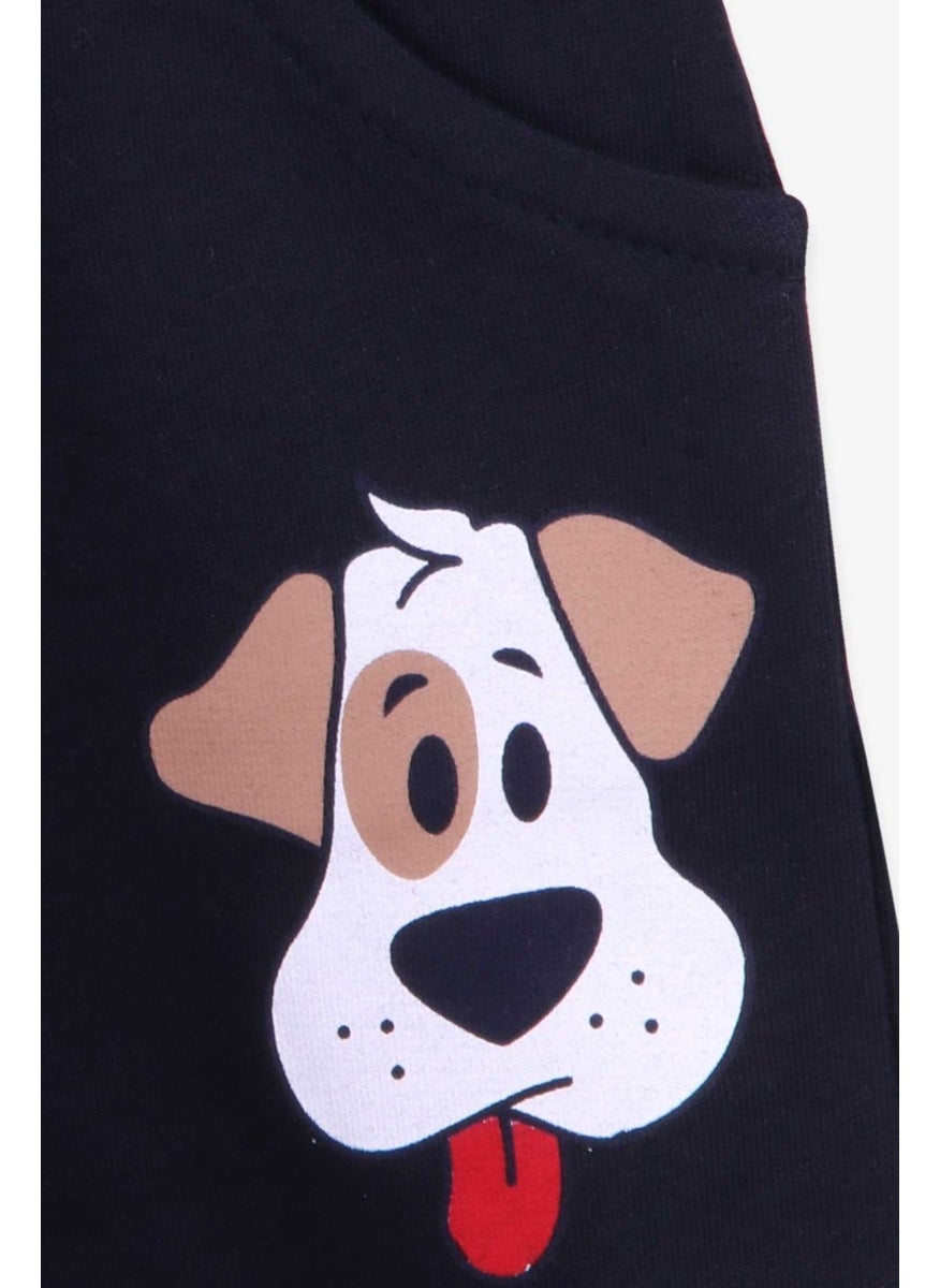 Boys Shorts Set Cute Puppy Light Gray Melange (1-4 Years)