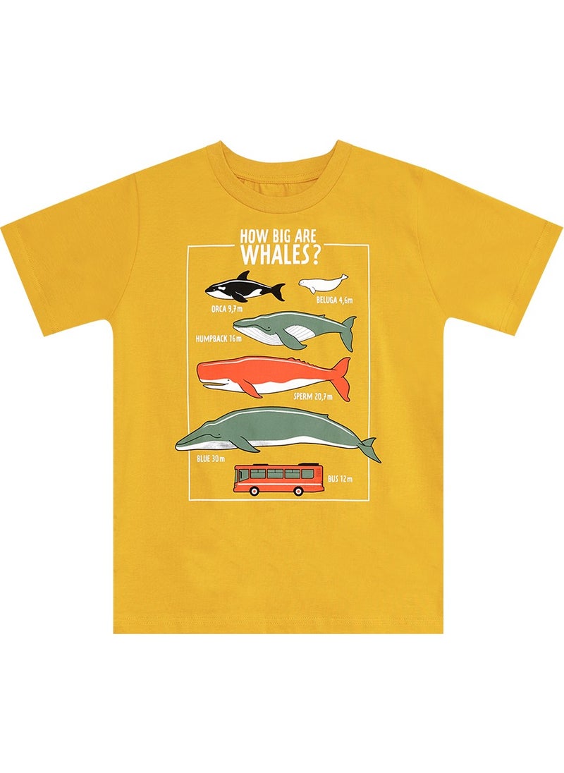 Big Whales Boy T-Shirt Capri Set