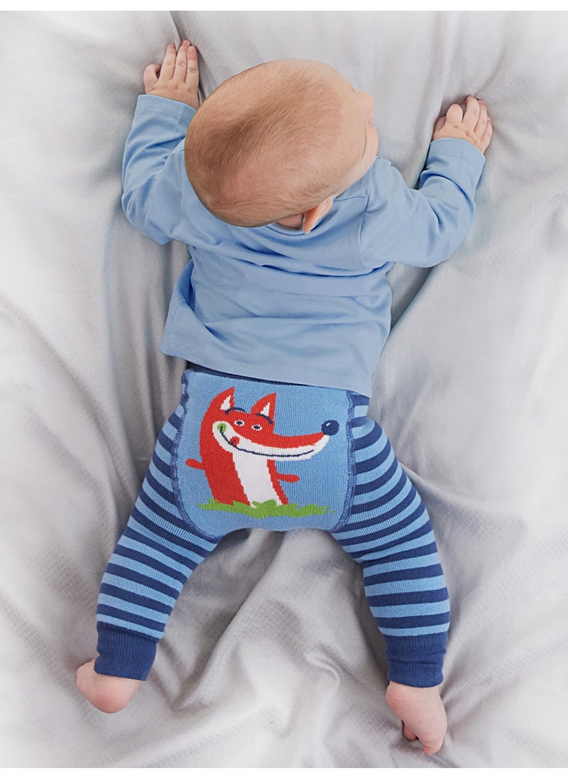 Fox Baby Boy T-Shirt Tights-Pants Set