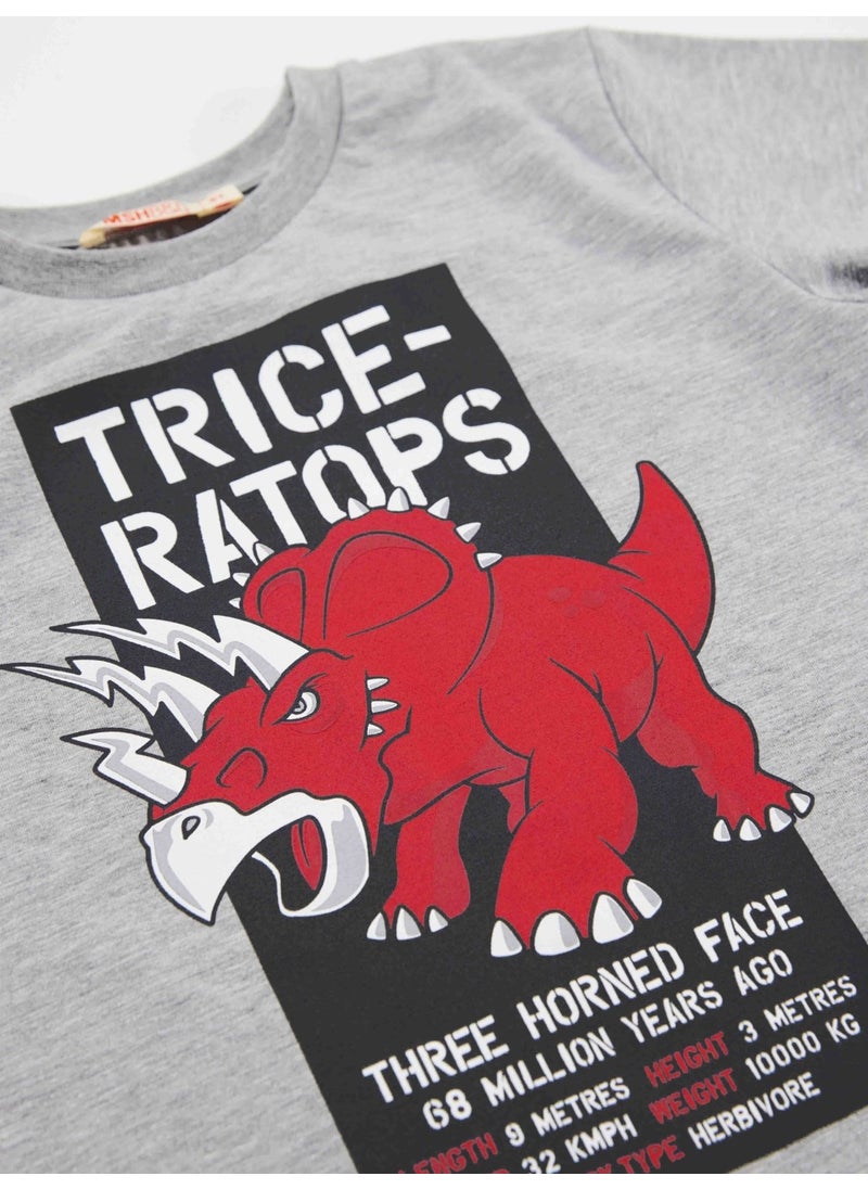 Triceratops Boy T-shirt Capri Shorts Set