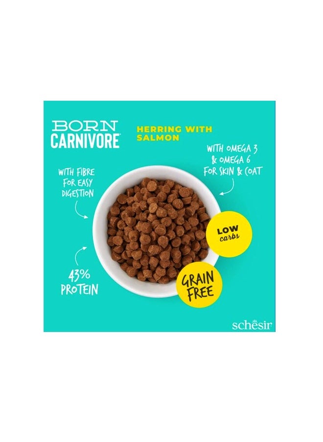 High Protein Herring With Salmon - 1.25 KG