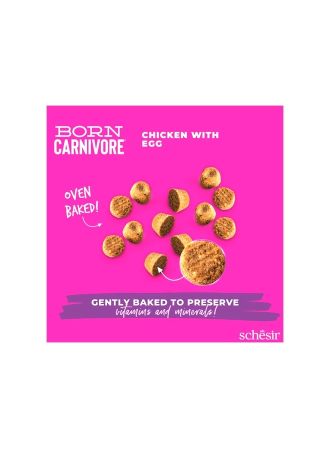 Kitten Dry Cat Food Chicken With Egg - 1.25KG