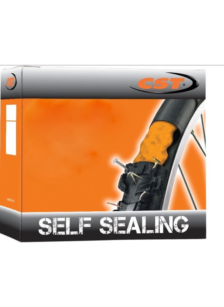 26X1.75/2.125 Sv48Mm O-Self Se Inner Tube