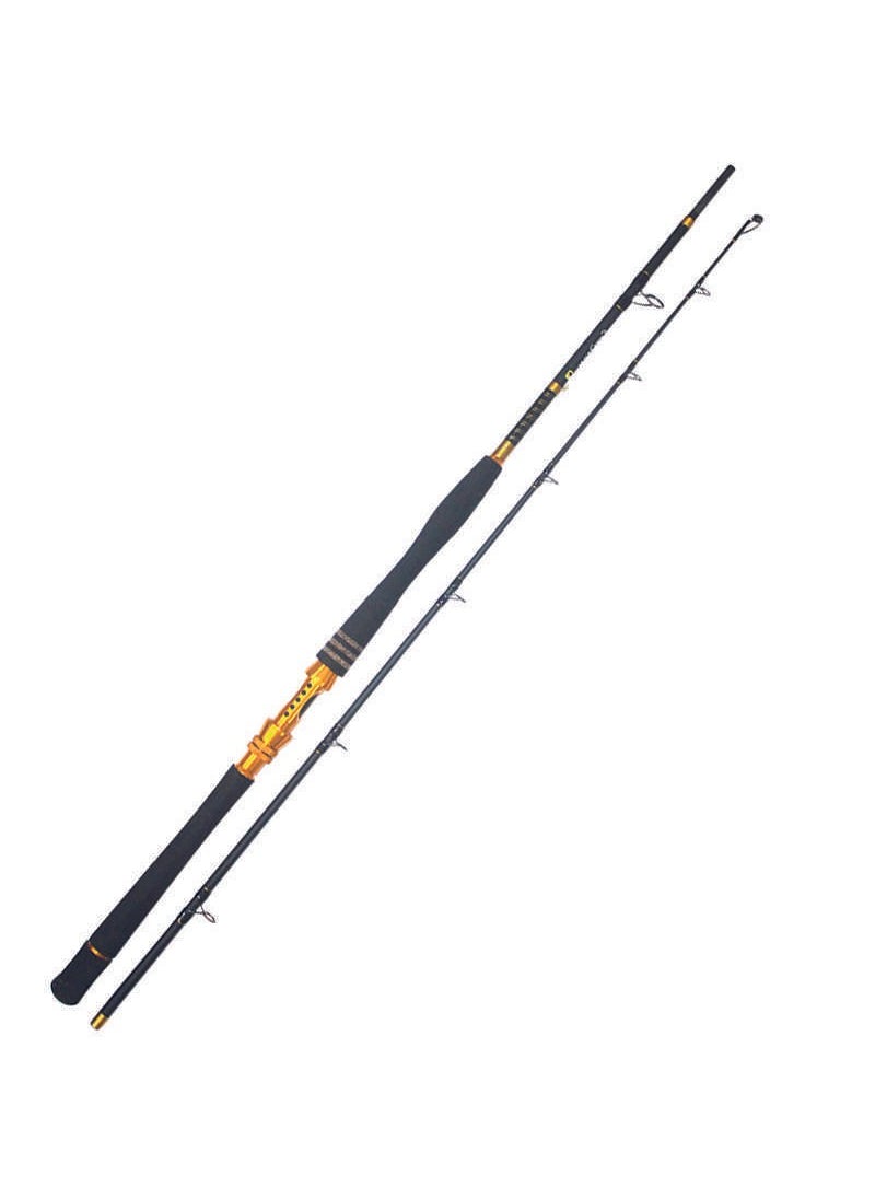 Deluxe Pro 2226 Jig Fishing Pole STANDARD-180CM-30LB