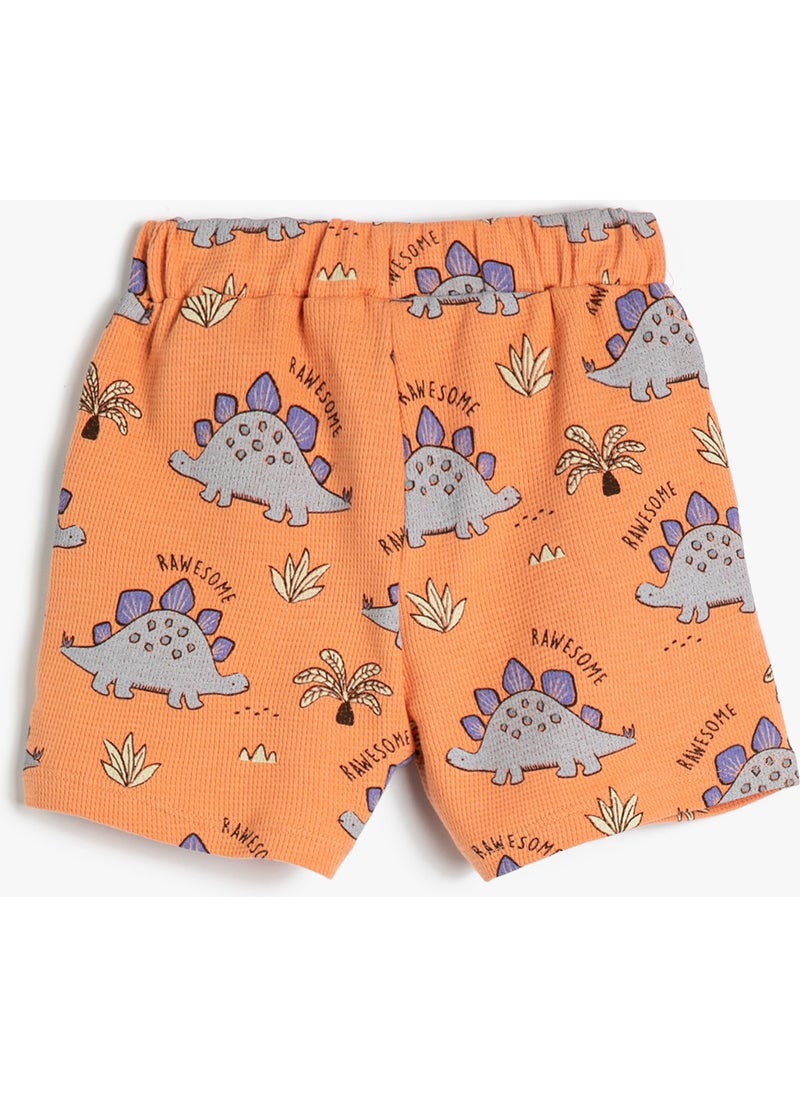 Cotton Shorts Dinosaur Printed Cotton with Elastic Waist