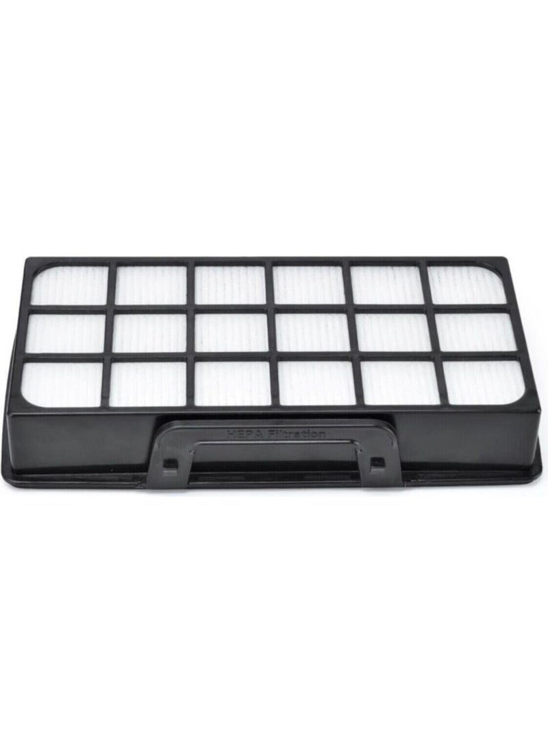 Ro 6954, Ro 6993, Ro 6921, Ro 6951 Hepa Filter Set