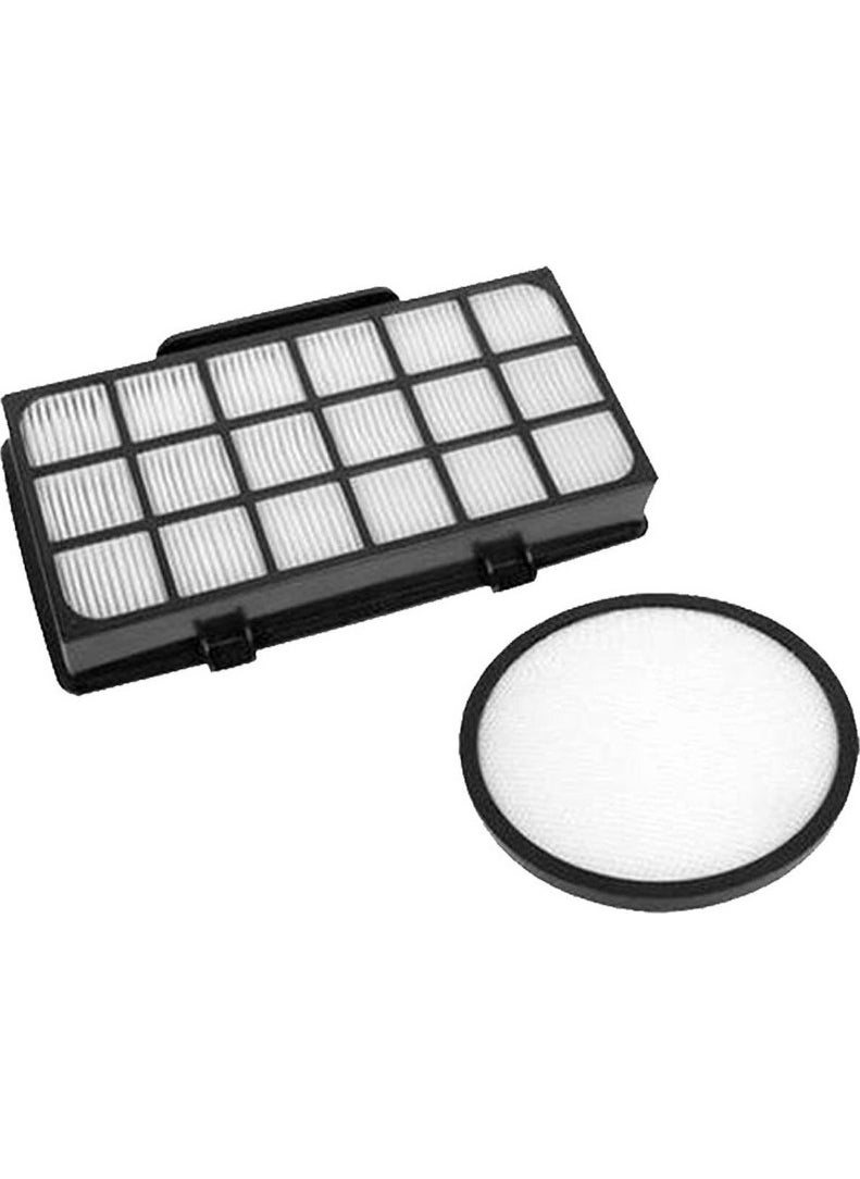 RO6993EA-410 X-Trem Power Cyclonic Hepa Filter Set