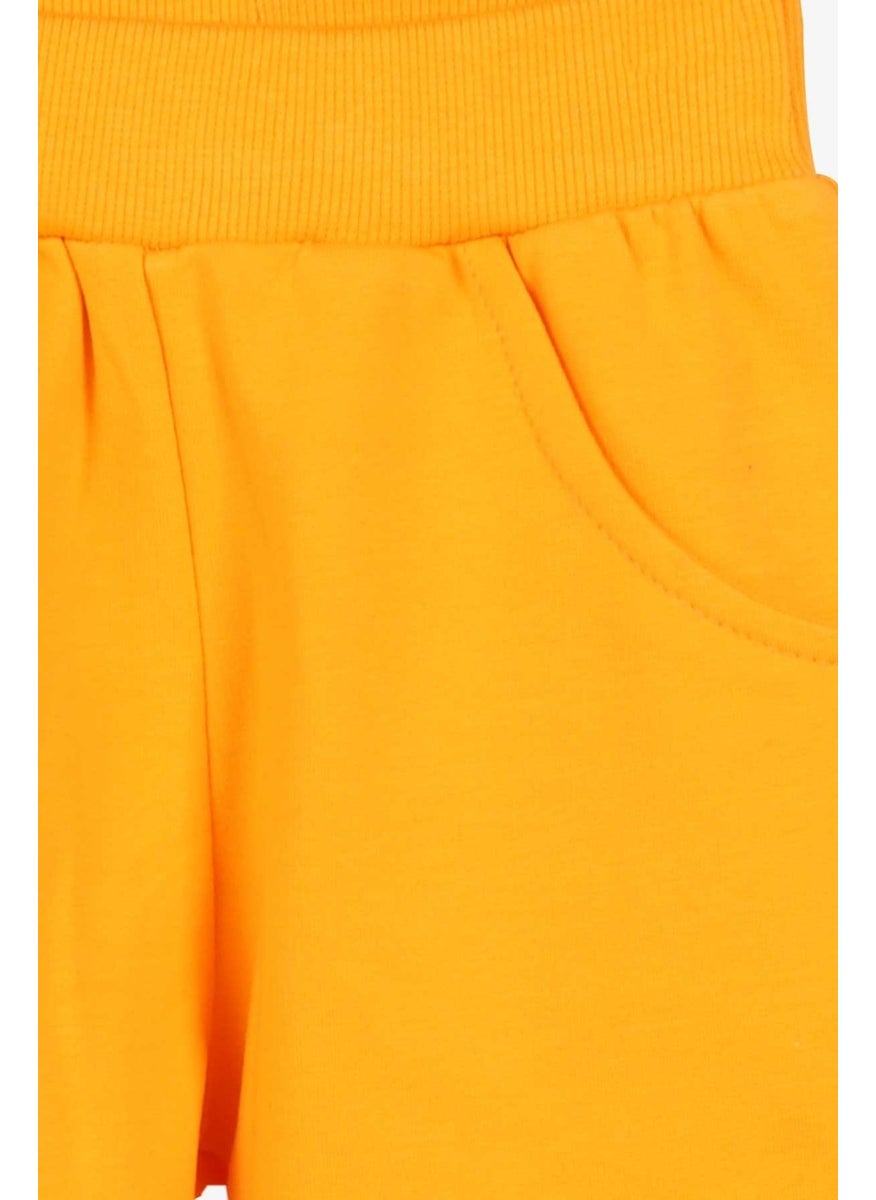 Boy's Sweatpants Yellow with Knee Embroidery (1.5-5 Years)
