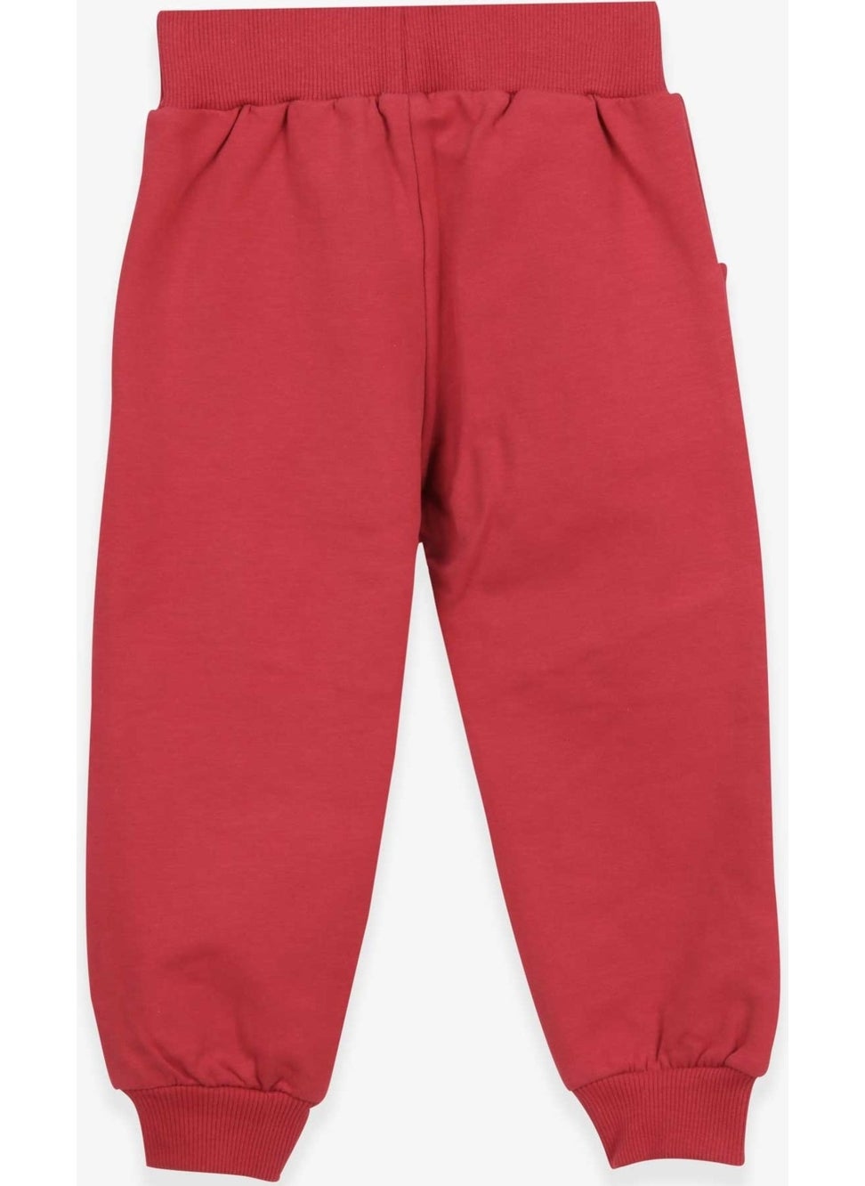 Boy's Sweatpants Knee Embroidered Tile (1.5-5 Years)