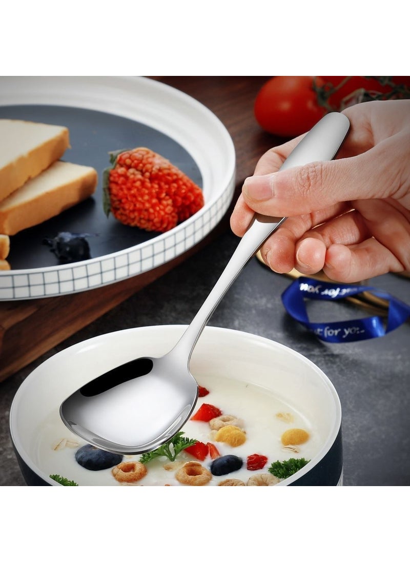 Stainless Steel 12 Pieces Silver Dinner Salad Dessert Spoon CIN756BY-12