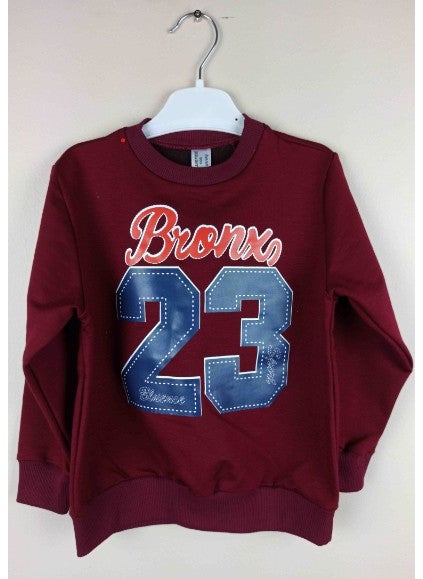 Boy's Printed Claret Red Cotton Sweatshirt