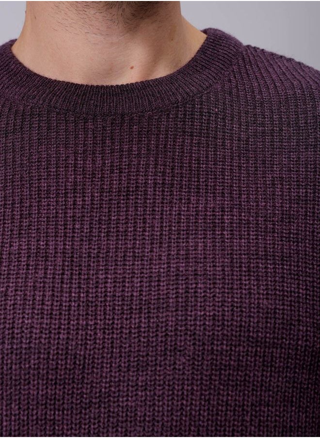 Men Oversized Solid Crew Neck Sweater