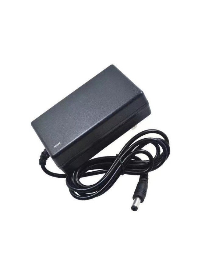 Lithium Battery Charger-Color:21V2A
