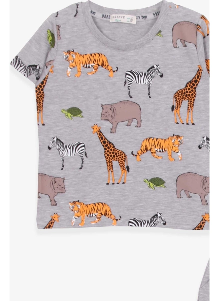 Boy Shorts Set Printed Gray Melange (Ages 2-6)