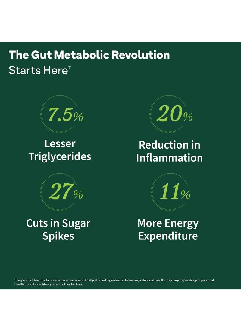 Advanced Metabolic Gut Fit Gut Metabolic Health Cinnamon Polyphenols B420 Probiotic Oat Fiber Prebiotic 30 Sachets 30 Effervescent Tablets