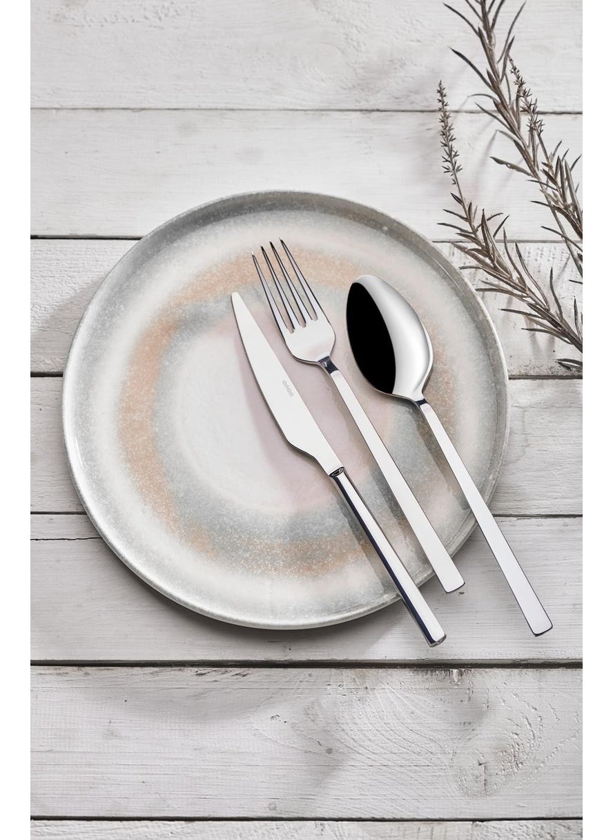 Deniz 12 Piece Cutlery Set for Daily Use 18/0