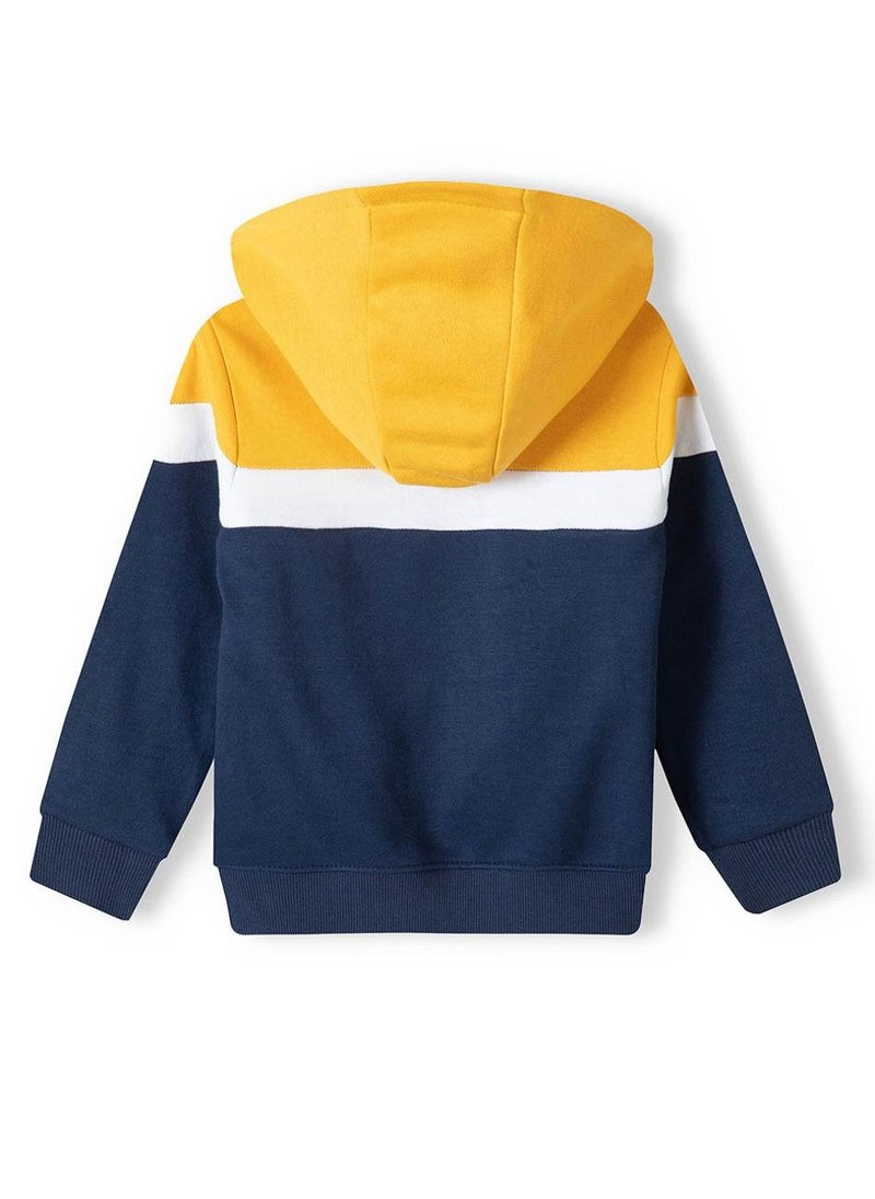 Boys  Hooded Zip Thru And Jogpant Set