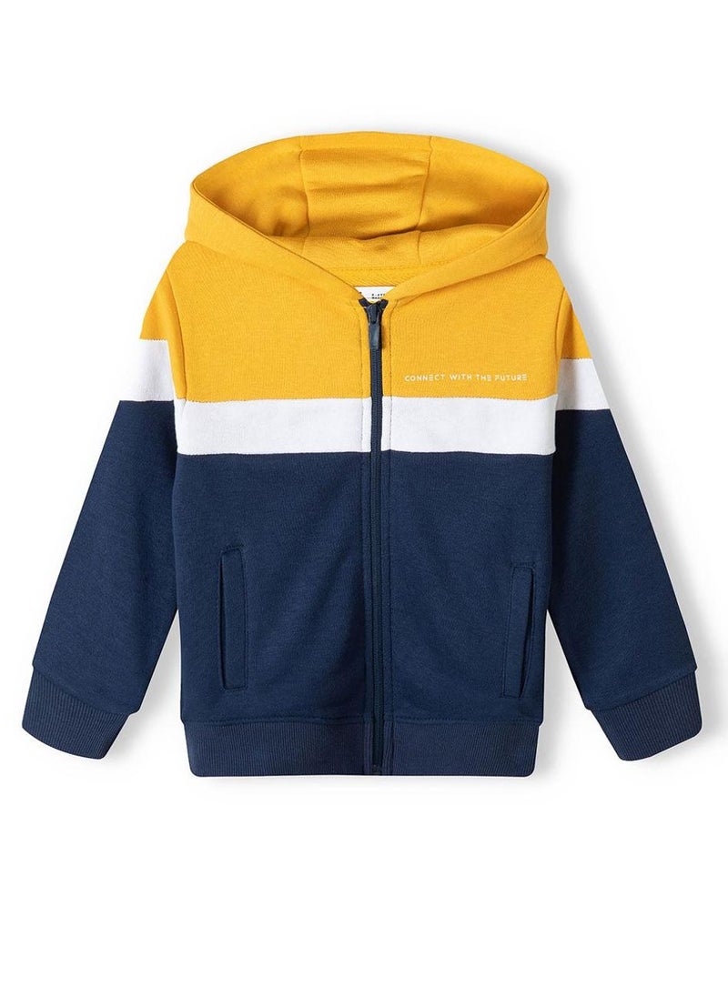 Boys  Hooded Zip Thru And Jogpant Set