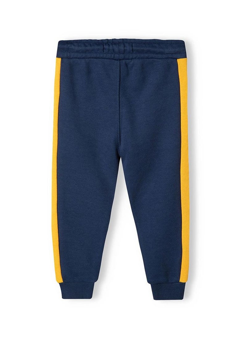 Boys  Hooded Zip Thru And Jogpant Set
