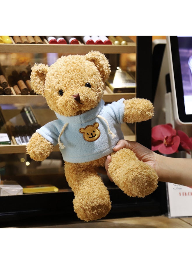 Cross Border Bear Doll Teddy Bear Plush Toy Gift Valentine's Day Gift Night Market Rings Doll Wholesale-Color:Blue Striped Brown Bear-Height:30cm + Gift Bag + String Lamp + Flower