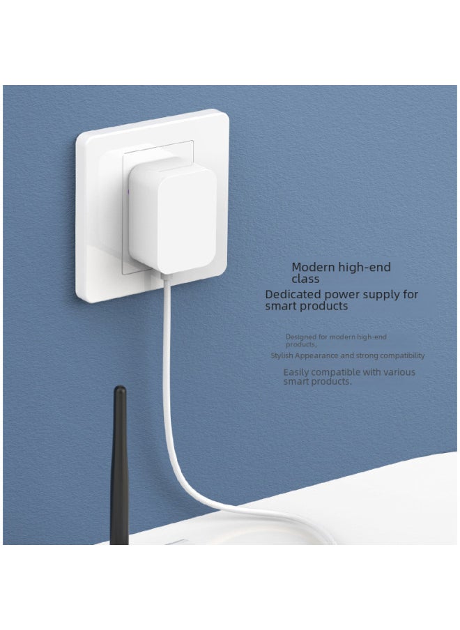 12v1a Australian Standard SAA Certified Power Adapter 12W White Simple Adapter SAA High Quality Power Supply-Color:White-Specifications:12V1A DC Head 5.5*2.1