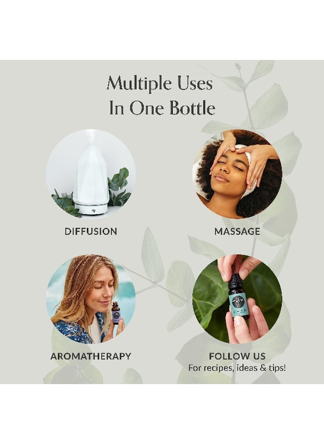 Vitex Essential Oil, 100% Pure Therapeutic Grade (Undiluted Natural/Homeopathic Aromatherapy Scented Essential Oil Singles) 30 ml