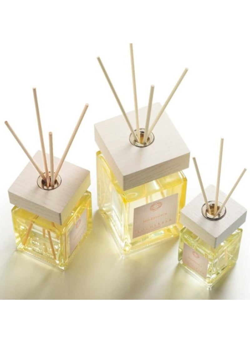 Tangerine and Cinnamon Diffuser 250 ml