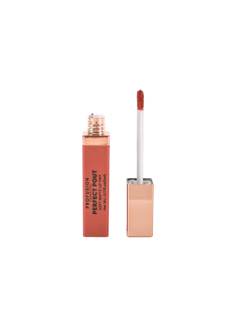 Profusion Cosmetics Perfect Pout Soft Matte Lip Tint (Grateful)