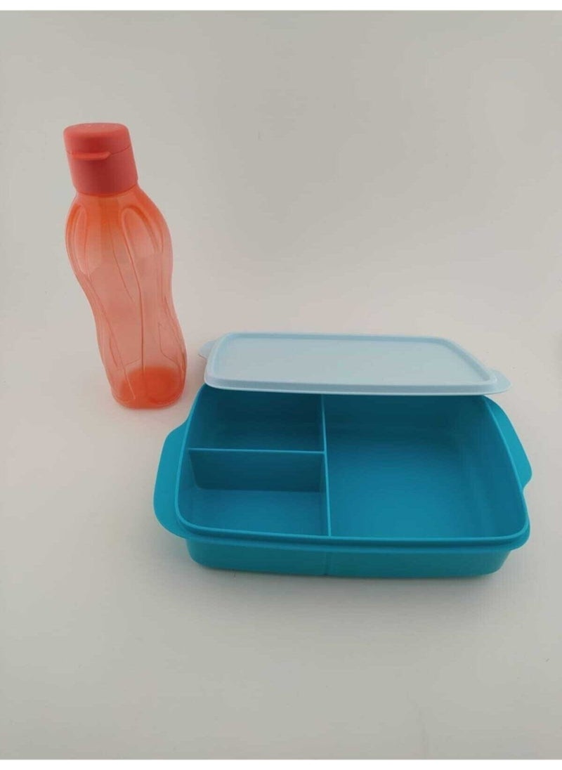 Water Bowl and Compartment Lunch Box