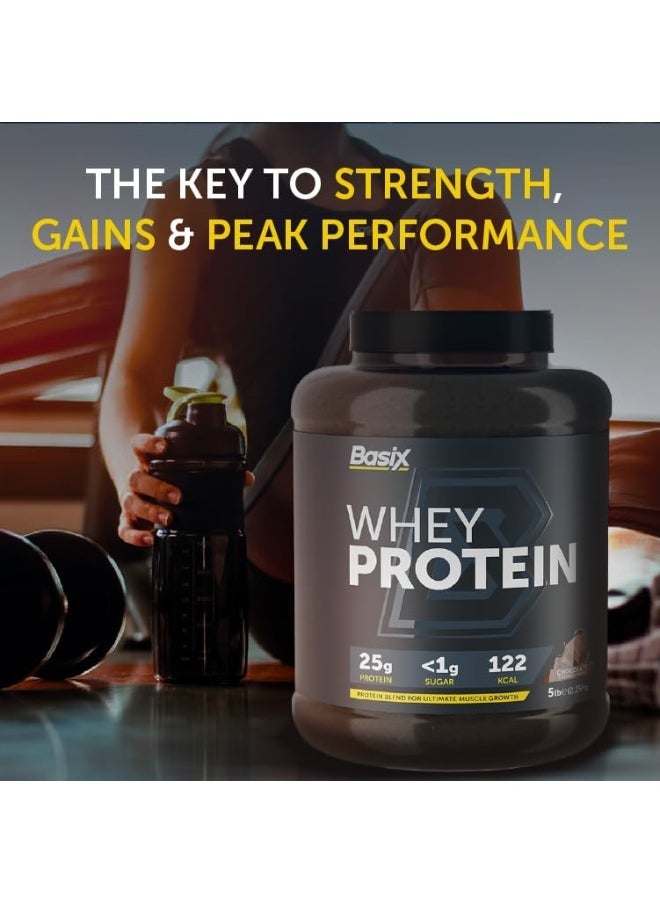 Whey Protein - Chocolate Chunk - 5 lb