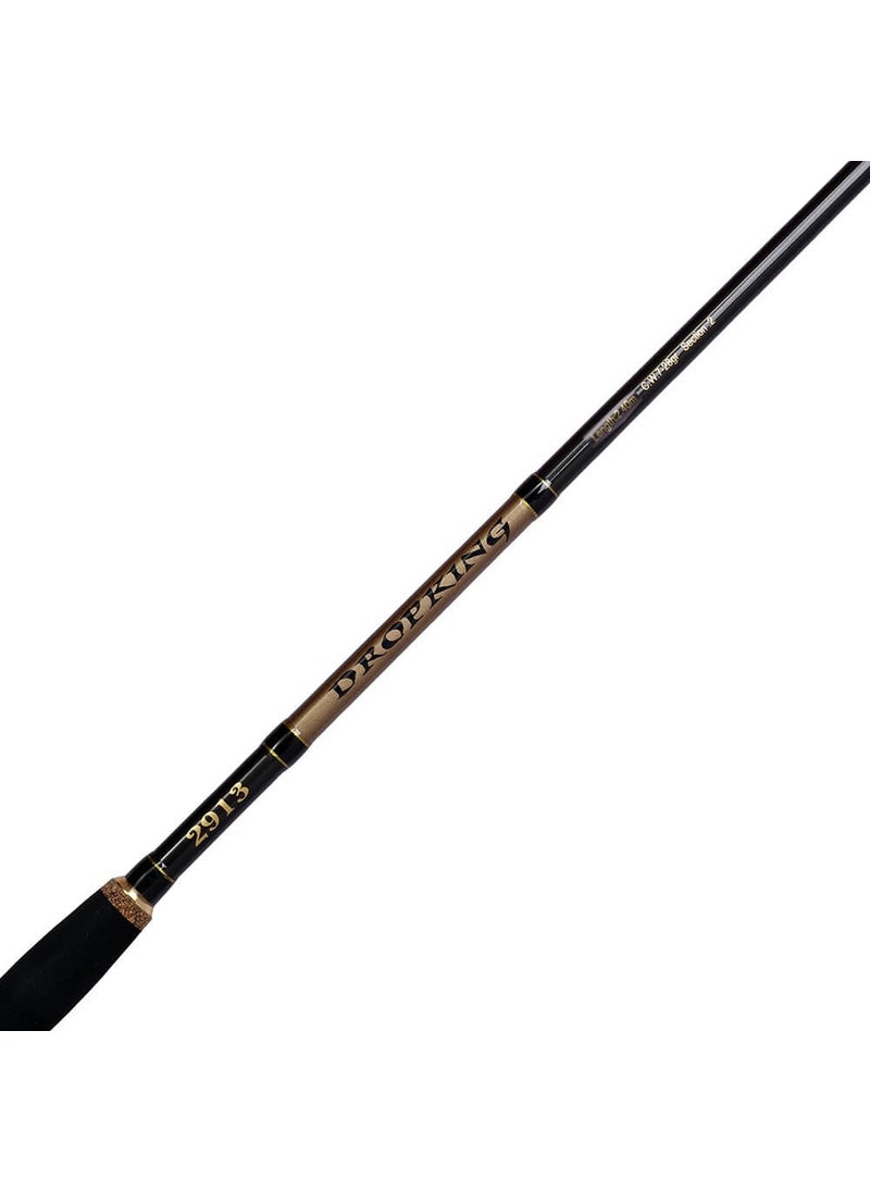Dropking 2913 Spin Fishing Pole STANDARD-240CM