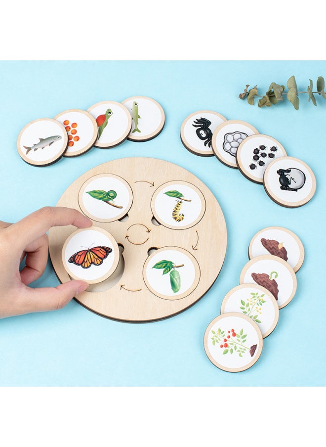 Montessori Wooden Life Cycle Deduction Plate Animal And Plant Growth Puzzle Natural Science Enlightenment Early Education Puzzle-Color:Lifecycle Deduction Board