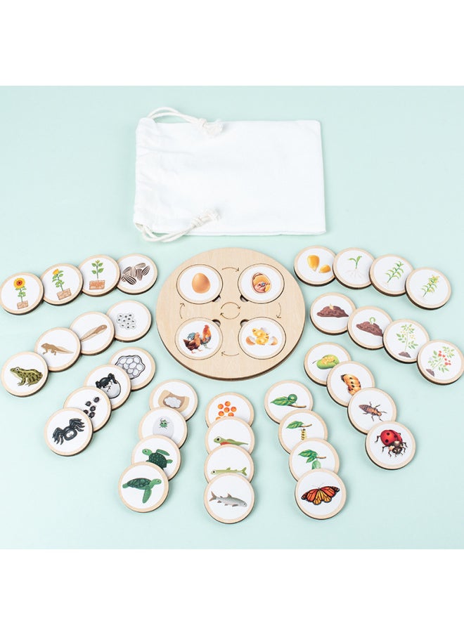 Montessori Wooden Life Cycle Deduction Plate Animal And Plant Growth Puzzle Natural Science Enlightenment Early Education Puzzle-Color:Lifecycle Deduction Board