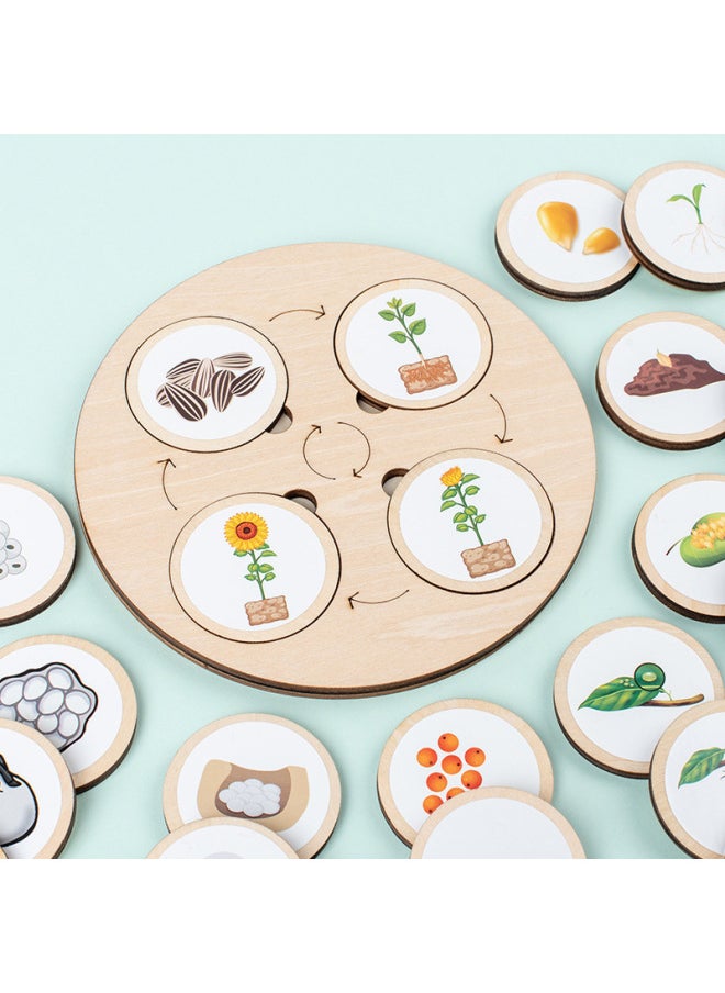 Montessori Wooden Life Cycle Deduction Plate Animal And Plant Growth Puzzle Natural Science Enlightenment Early Education Puzzle-Color:Lifecycle Deduction Board