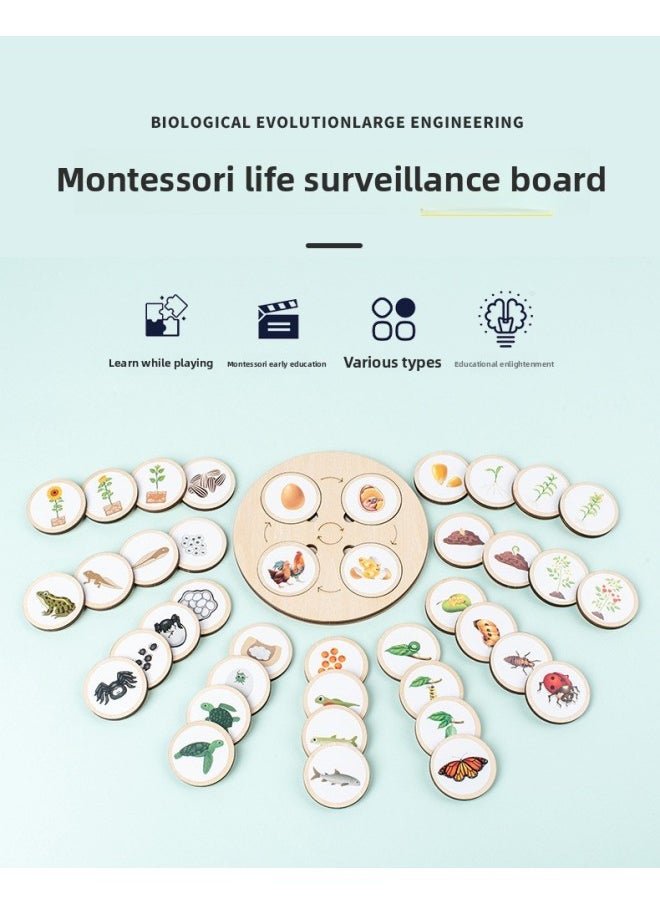 Montessori Wooden Life Cycle Deduction Plate Animal And Plant Growth Puzzle Natural Science Enlightenment Early Education Puzzle-Color:Lifecycle Deduction Board