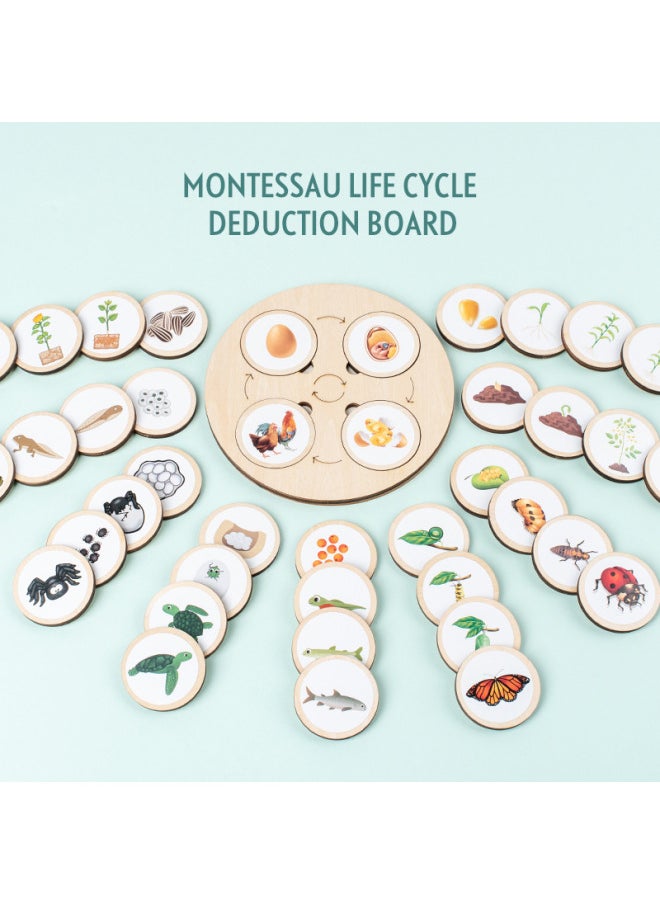 Montessori Wooden Life Cycle Deduction Plate Animal And Plant Growth Puzzle Natural Science Enlightenment Early Education Puzzle-Color:Lifecycle Deduction Board