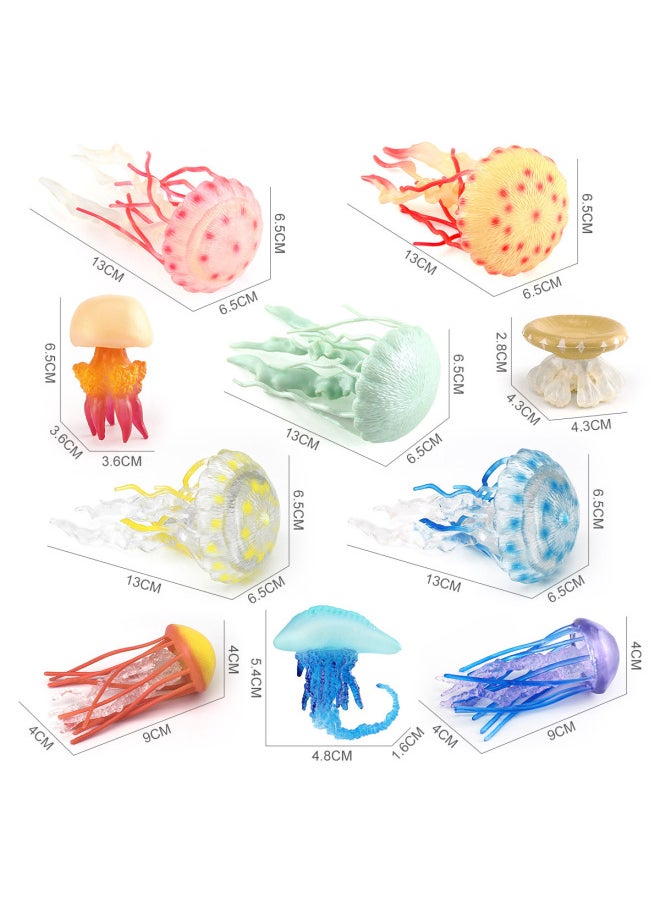 Children's Simulation Marine Seabed Biology Jellyfish Jellyfish Animal Model Static Hand-made Decorative Ornaments Toy-Color:T15701 Anemone 27g