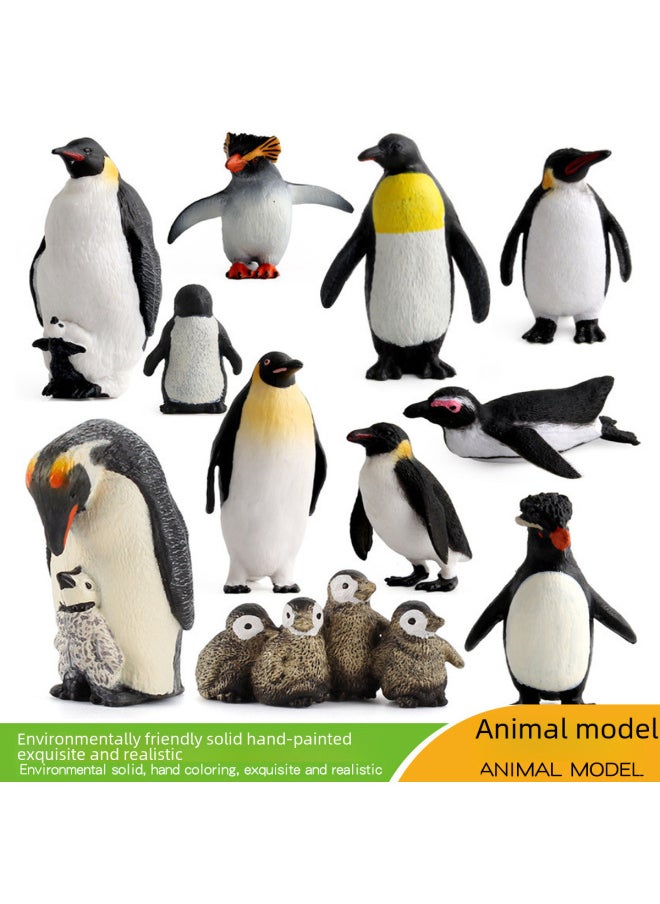 Children's Cognitive Simulation Polar Marine Animal Penguin Model Emperor Penguin African Penguin Ornament Toy-Color:PL127-574 Penguin Model 59g