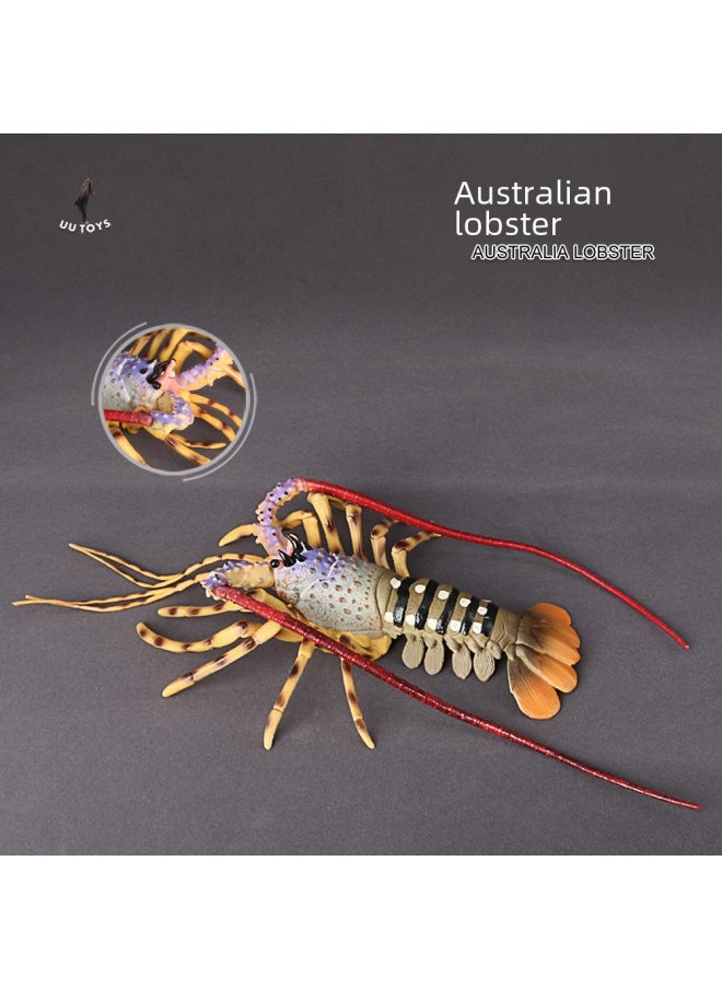 Simulation Marine Animal Model Marine Creatures Children's Toys Turtle Lobster Perch Shrimp Ancient Creatures Golden Dragon Fish-Color:PL127-910 Boston Lobster