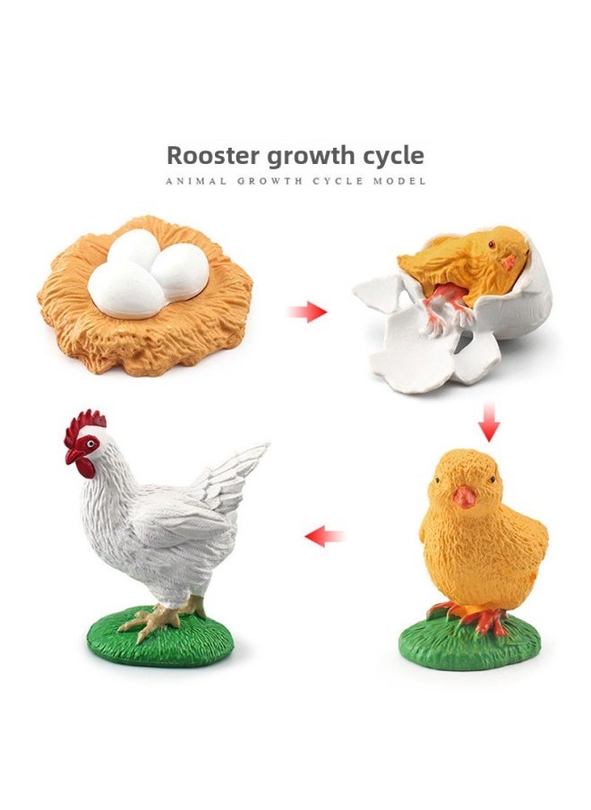 Simulation Animal Growth Cycle Insect Teaching Model Chicken Butterfly Montessori Hand Turtle Frog-Color:Zq2427 Growth Cycle 24g